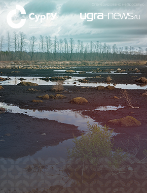 Ученые СурГУ научились выявлять  скрытые нефтяные загрязнения